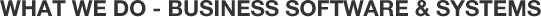 What We Do - Business Software & Systems